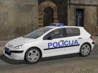 Picture of Peugeot 307 Police & Civilian car
