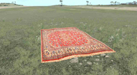 Picture of Flying Carpet 