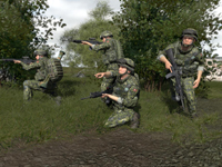 Picture of Danish Army