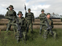 Picture of Danish Army