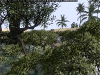 Picture of African foliage for ArmA II