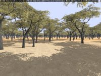 Picture of African Vegetation Pack