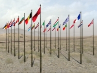 Picture of NATO Flag Pack