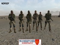 Picture of Norwegian Military Forces Project