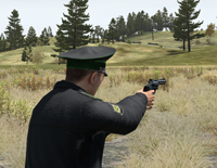 Picture of RH Pistol pack Remake [ArmA2]