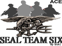 Obrzek Seal Team Six Gold (ACE version)